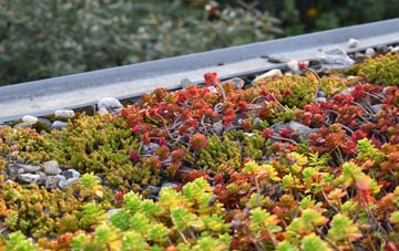 the cost of Little Woolgarston green roof installation