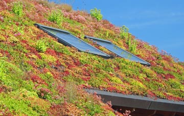 Little Woolgarston living roof systems