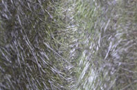 Little Woolgarston fibreglass roof work